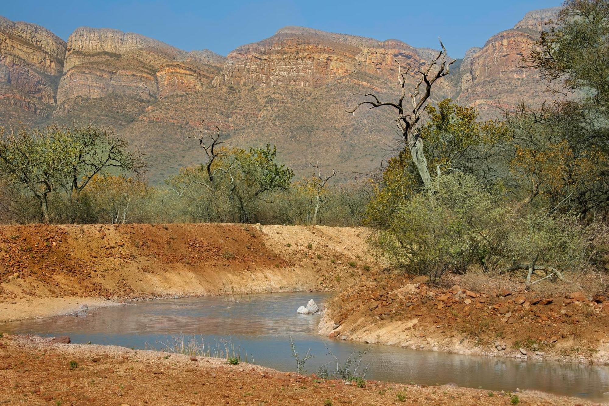 African Dream Tour Hoedspruit Extérieur photo
